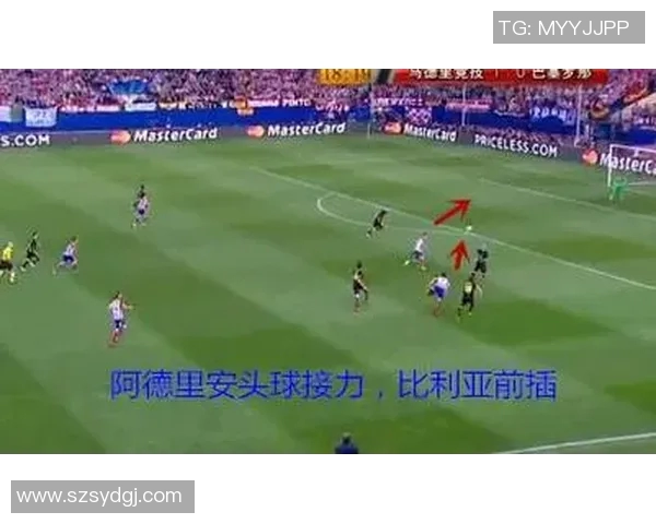 成都排球队防反战术解析与比赛表现评估